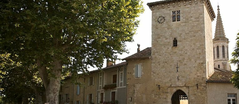 Coupe et remplacement d'un platane