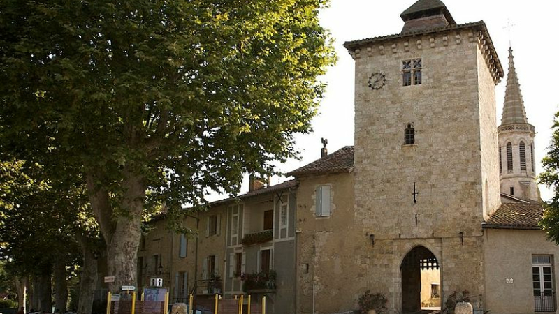 Coupe et remplacement d'un platane