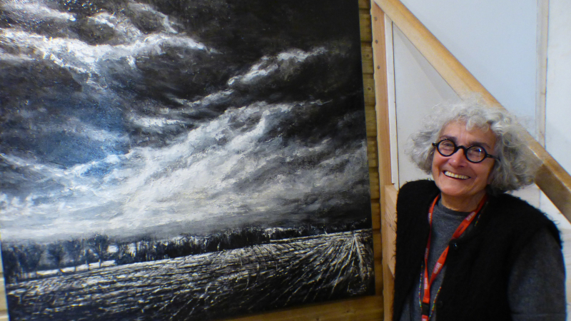 La galerie de l'Âne bleu expose Thierry Sellem