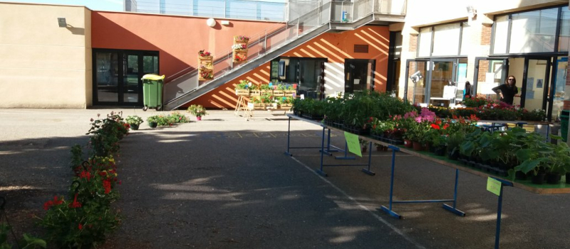 Nouveau coup de projecteur sur les festivités du 8 mai
