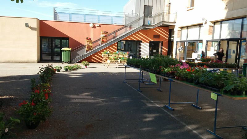 Nouveau coup de projecteur sur les festivités du 8 mai