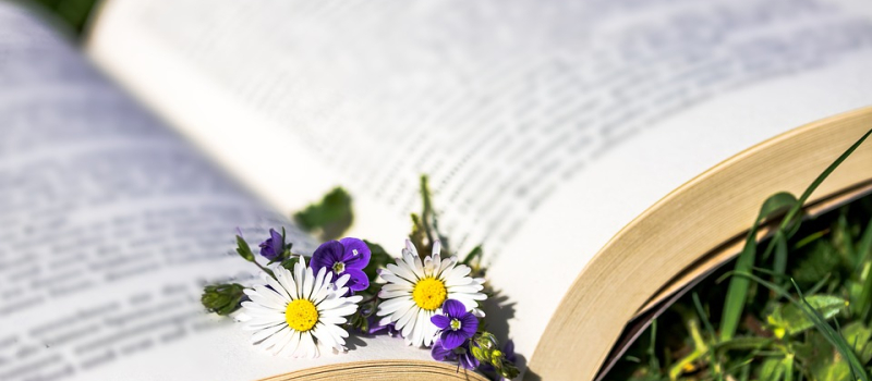 A vos marque-pages !