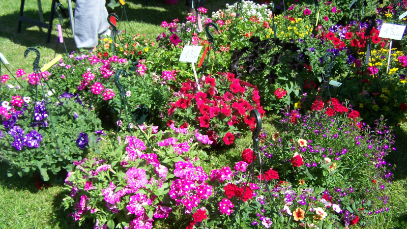 Retour en images sur les Floralies