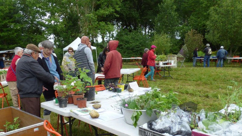 Le 8ème Troc de plantes au jardin partagé