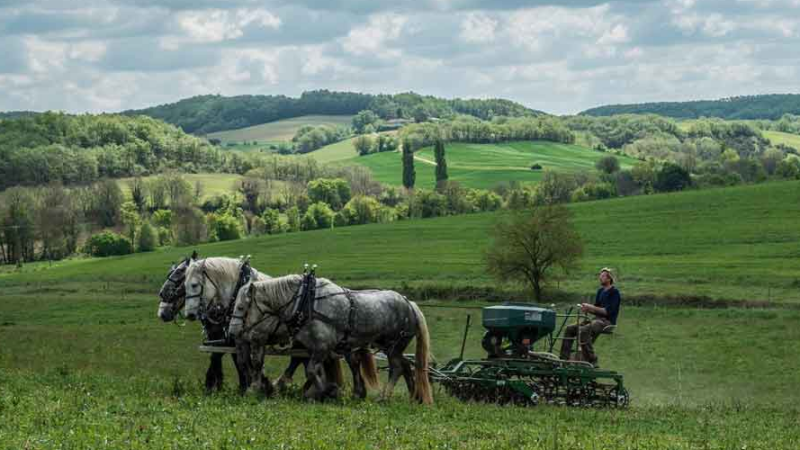 Congrès Mondial d'Agroforesterie 