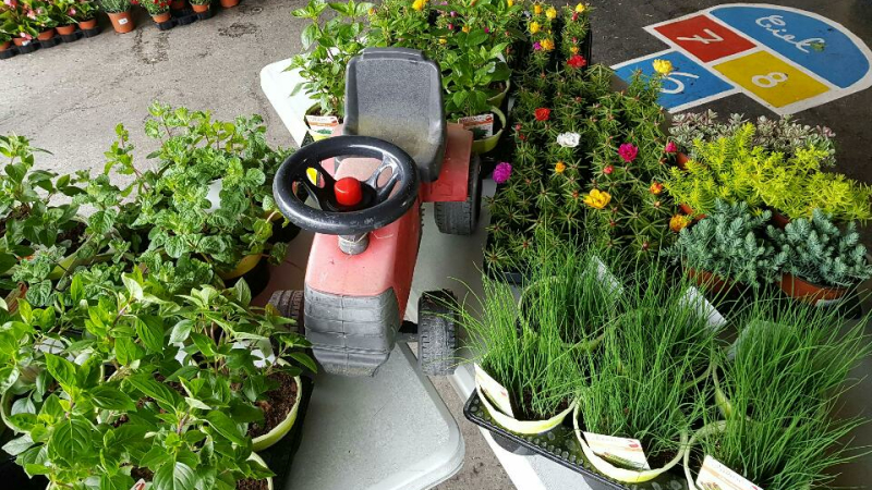 Le marché aux fleurs annuel