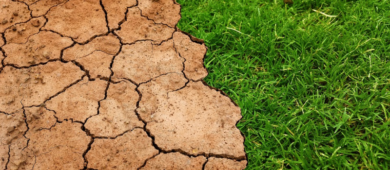 "Quel climat aurons-nous demain dans le Savès ?"