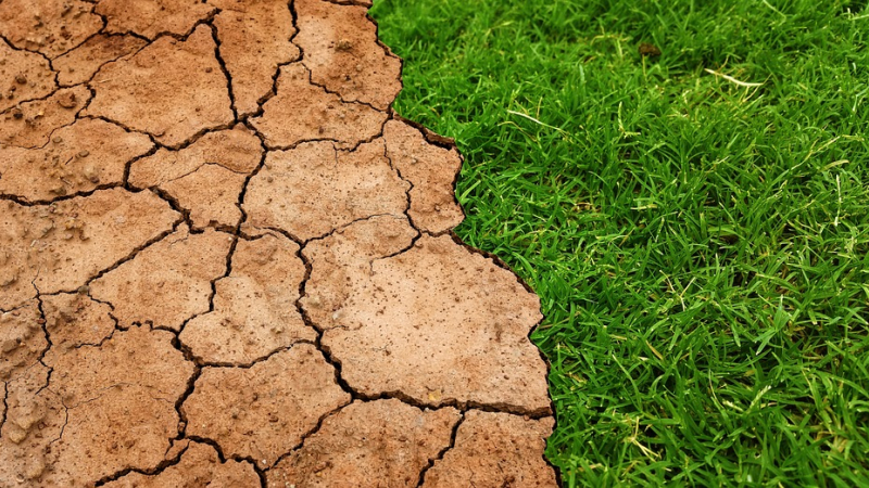 "Quel climat aurons-nous demain dans le Savès ?"
