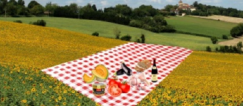 Concours de plats écolocavores