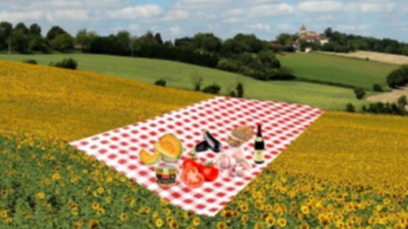 Concours de plats écolocavores