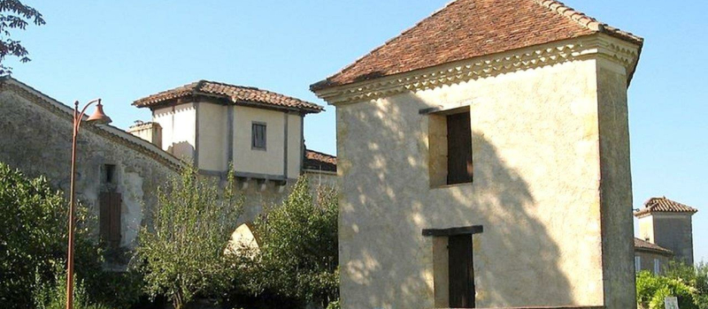 Dynamorphe et Pezize, deux noms étranges pour ...