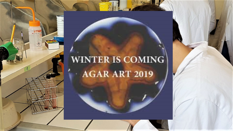 "Championnat de France de microbes artistiques"