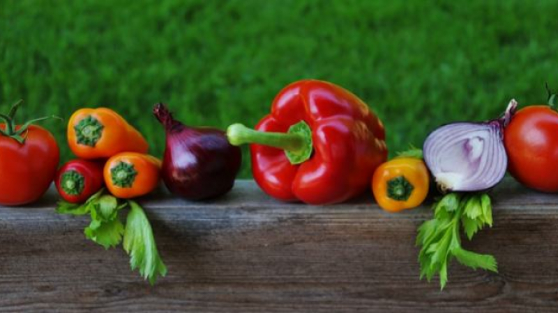 L'agriculture biologique française en plein boom