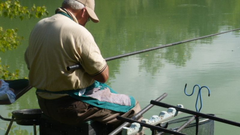 Concours de pêche
