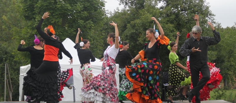 Sevillanas y flamenco : spectacle à la salle polyvalente