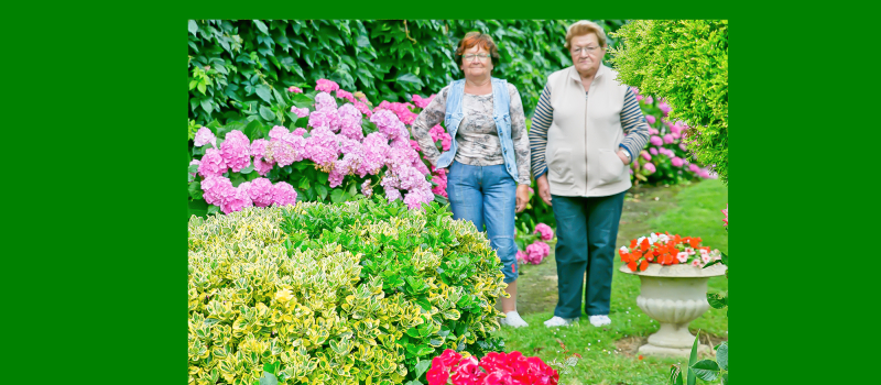 Concours des maisons fleuries et des potagers à Nogaro  