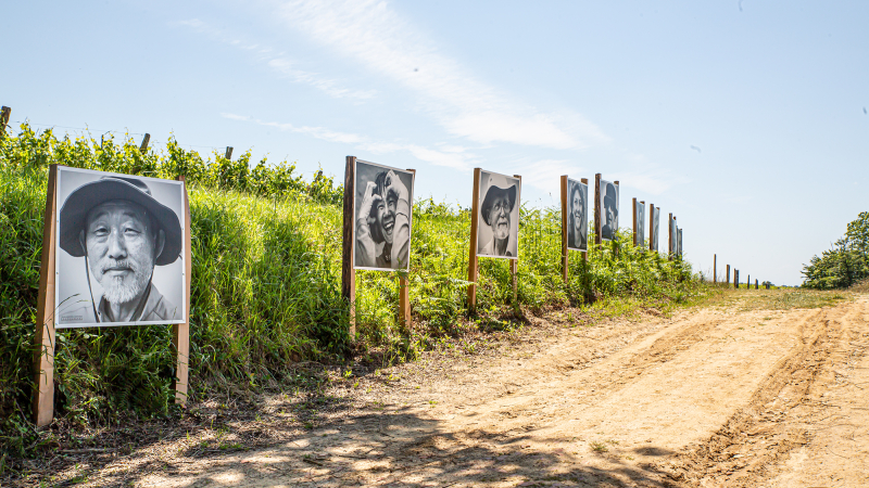 «Portraits sur le chemin» à Sainte-Christie-d’Armagnac 