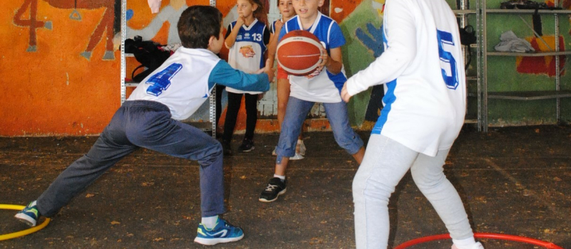 Sports à l'école. Le basket joue collectif