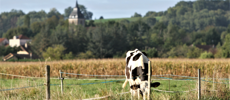 Marchés à la ferme : où se rendre.