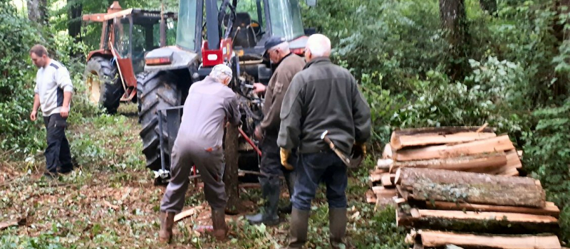 Quand les chasseurs laissent leur fusil au râtelier ! 