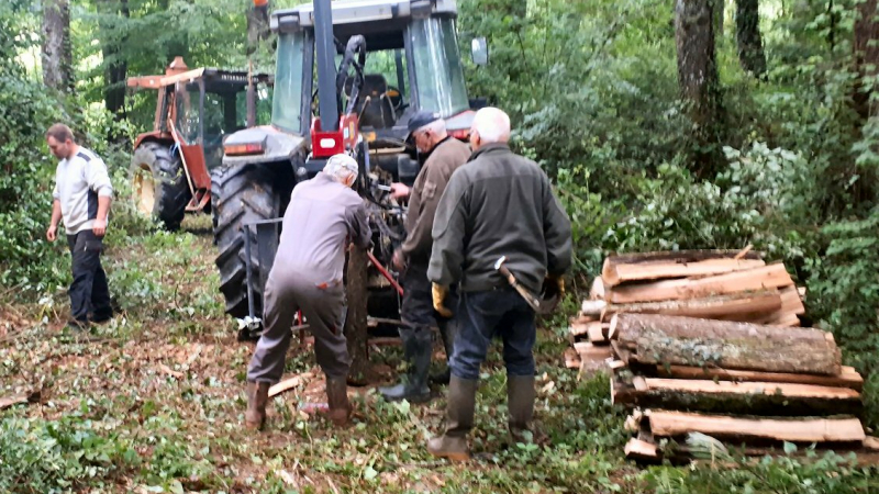 Quand les chasseurs laissent leur fusil au râtelier ! 