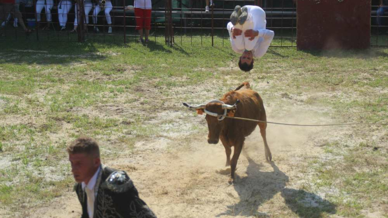 Échos des fêtes