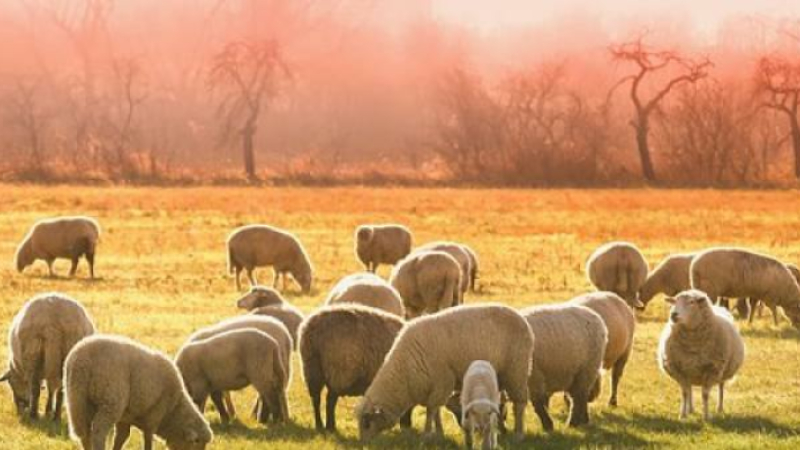 L'horizon s'assombrit pour l'agriculture gersoise 