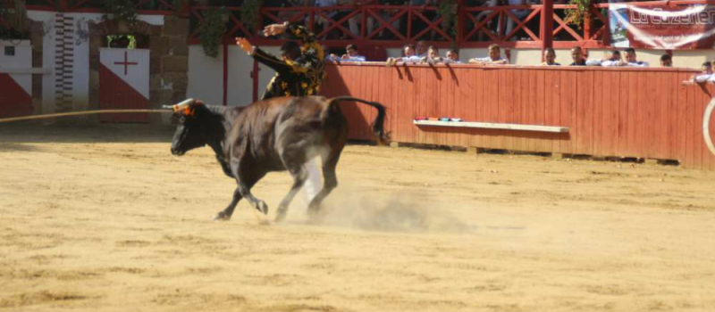 Course landaise de promotion