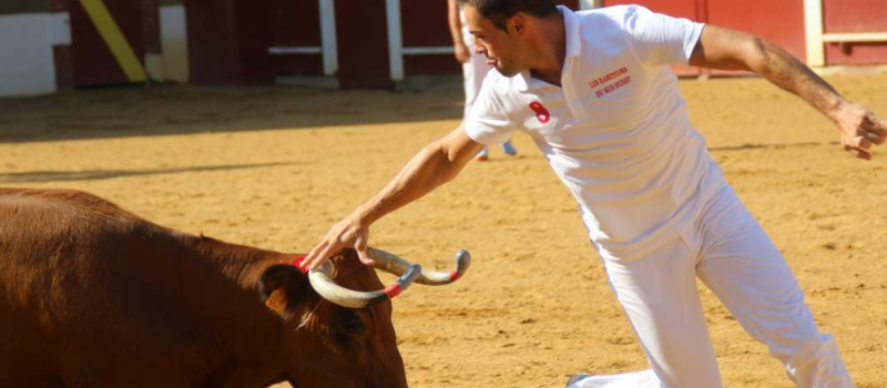 Concours de cocardes et course landaise