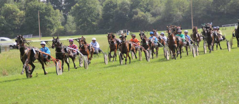 Courses de chevaux et escargolade