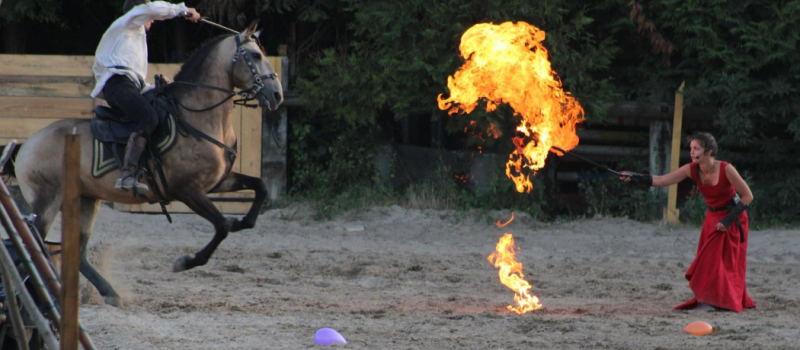 Découvrez l'Arion Horse Sow avec son spectacle équestre !