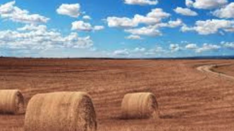 Secheresse : nouvelles mesures en faveur des agriculteurs