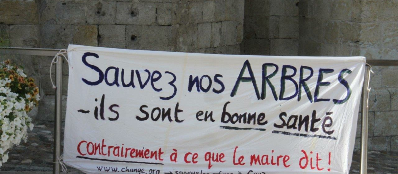 Les Amis des arbres toujours mobilisés