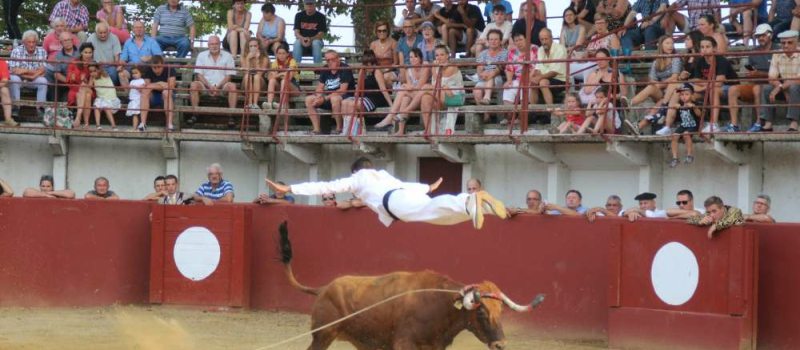 Course landaise