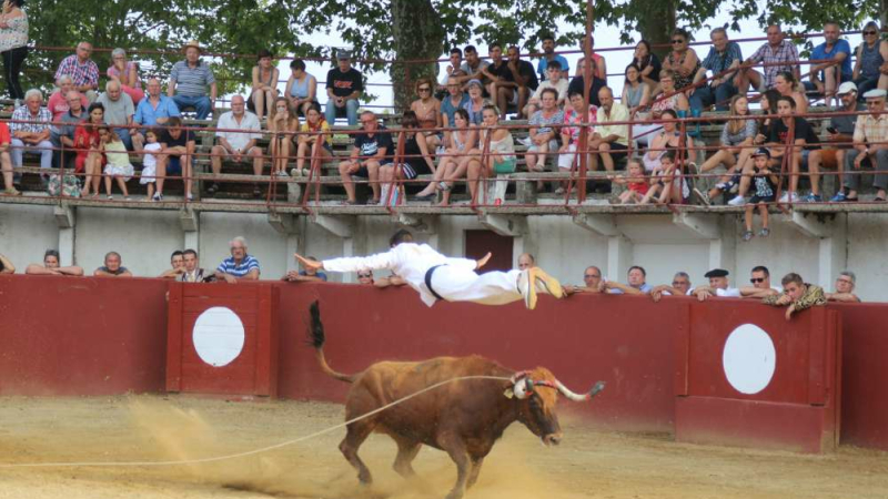 Course landaise
