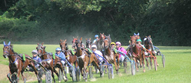 Escargolade et courses de chevaux