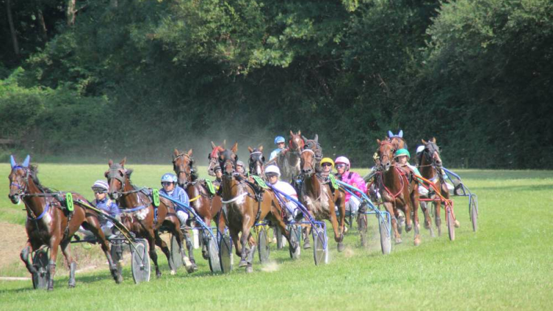 Escargolade et courses de chevaux