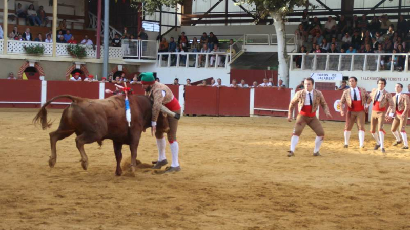 Place à la corrida portugaise