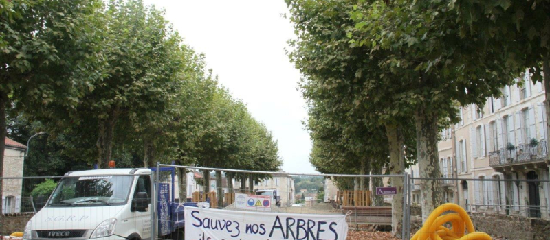 Un collectif est constitué pour la surveillance des platanes