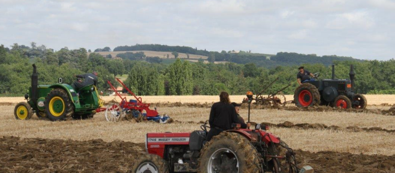 Labour dans le pré
