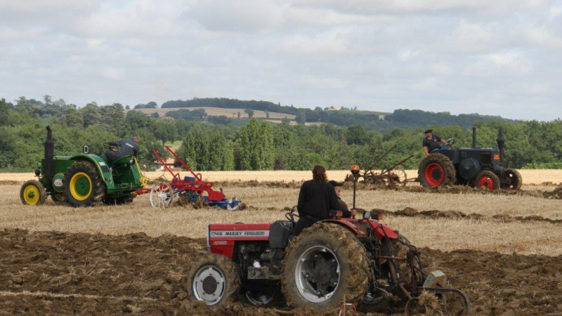 Labour dans le pré