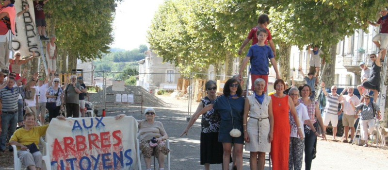 L'abattage des platanes sur FR3