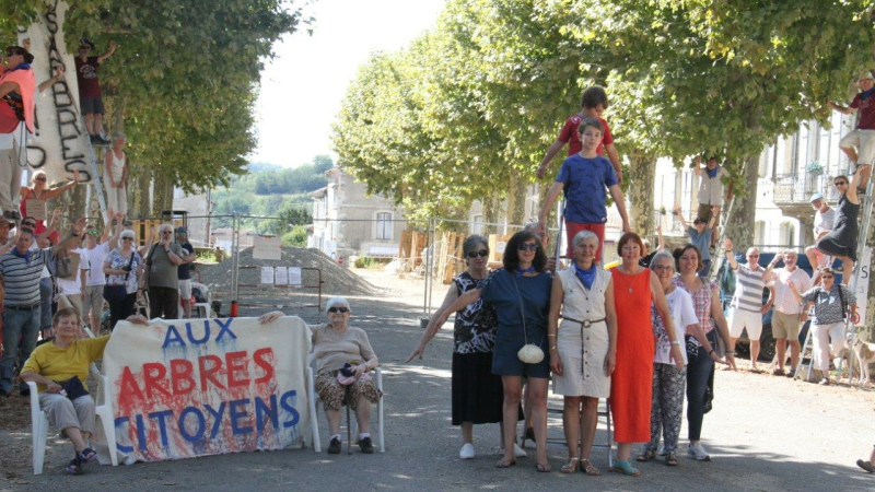 L'abattage des platanes sur FR3