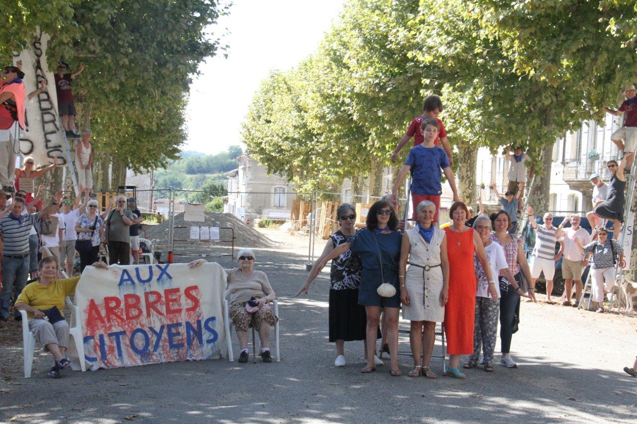 Le 17 août, une opération spectaculaire du collectif de défense des platanes - Photo Marc Le Saux