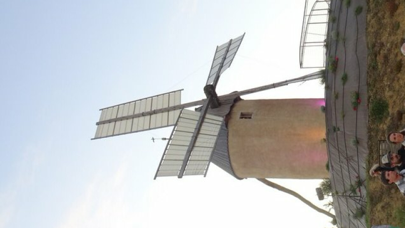Atelier dessin-peinture sous les ailes du moulin 