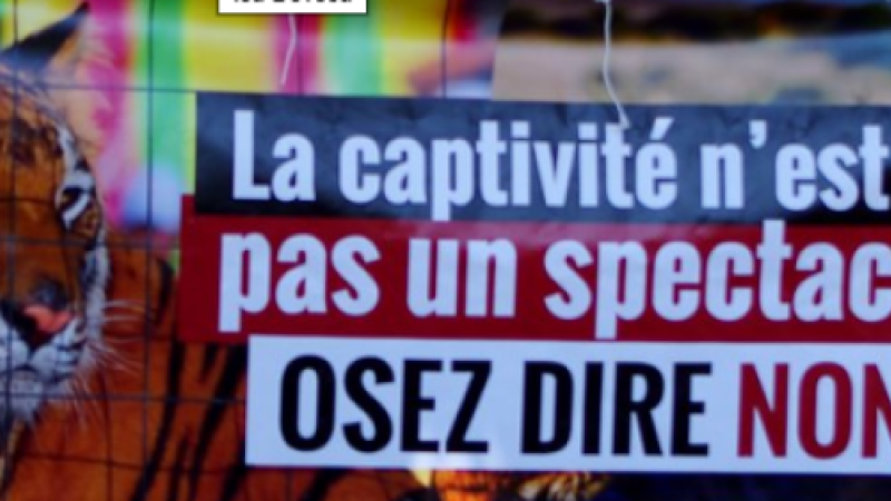 Journée mondiale pour la fin du spécisme