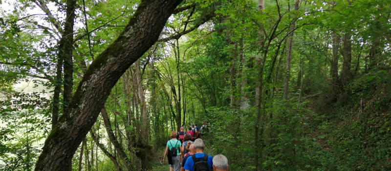 Dernière randonnée d'été