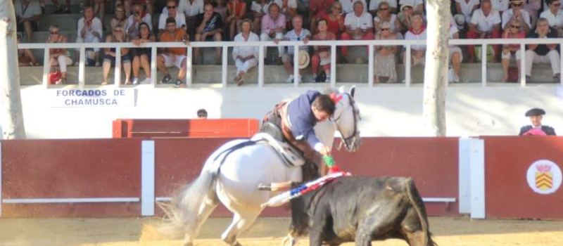 Sebastian Fernandez a conquis le public