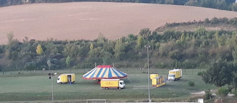Le cirque Piccolino sillonne la France et a fait escale à Duran