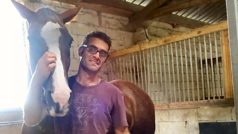 L'écurie Gilles Lauzière est aussi une pension 